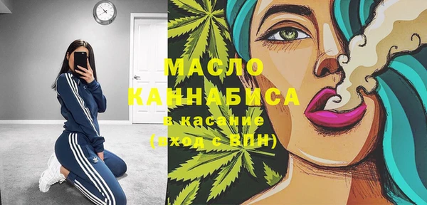 мет Новозыбков