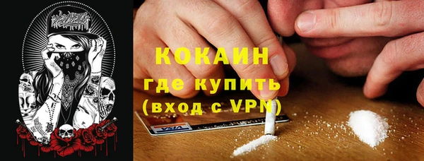 мет Новозыбков