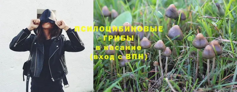 блэк спрут маркетплейс  Набережные Челны  Галлюциногенные грибы MAGIC MUSHROOMS 