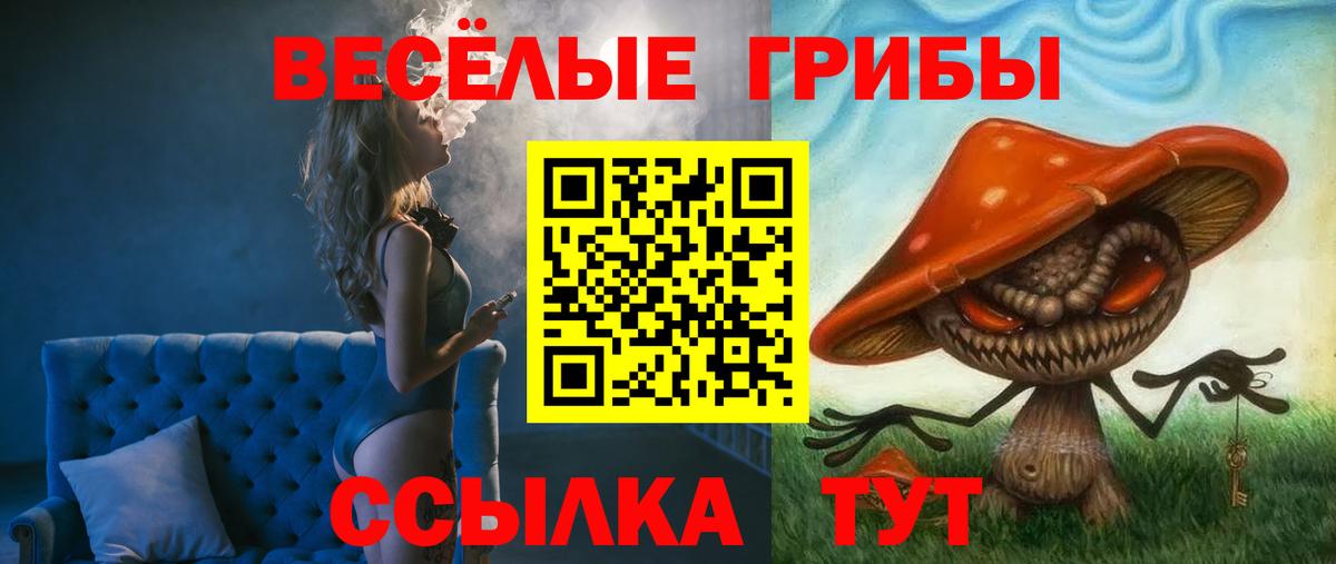 Псилоцибиновые грибы Cubensis Набережные Челны