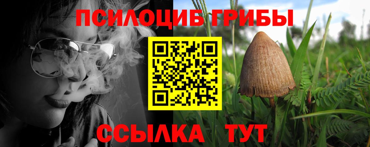 Набережные Челны  Псилоцибиновые грибы Cubensis  Вход с VPN 